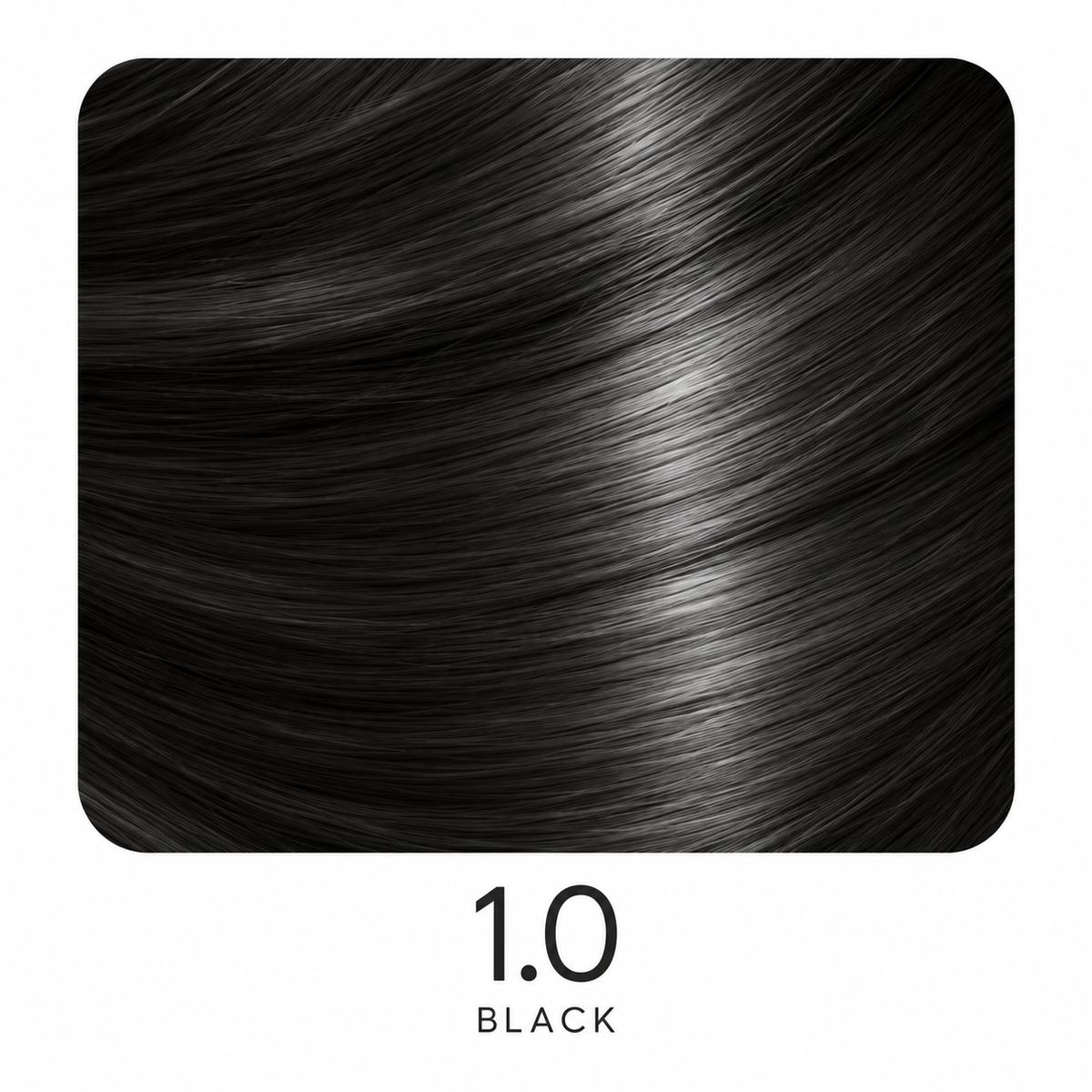 ASP Regular Shades Series