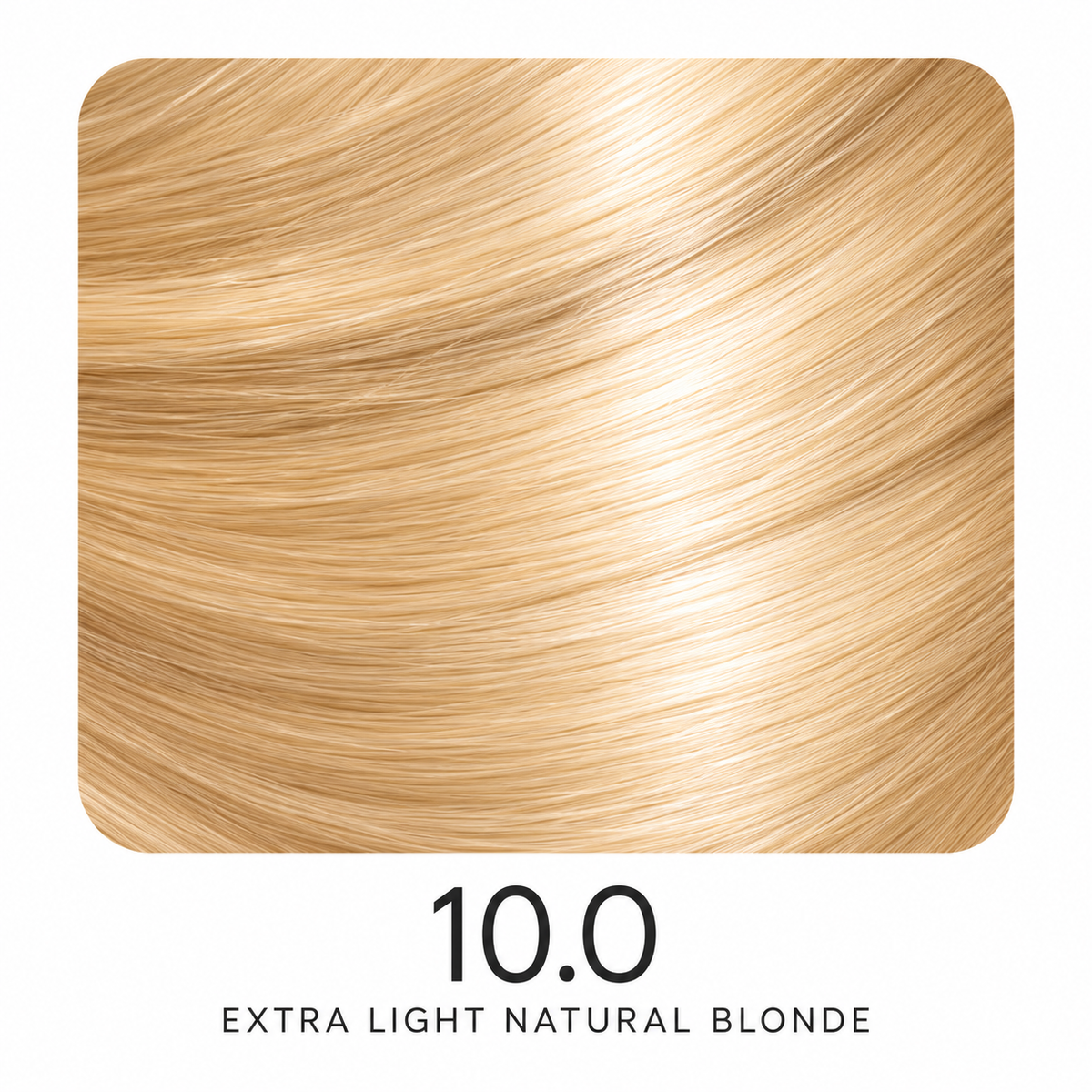 ASP Elixir Hair Color - All Shades