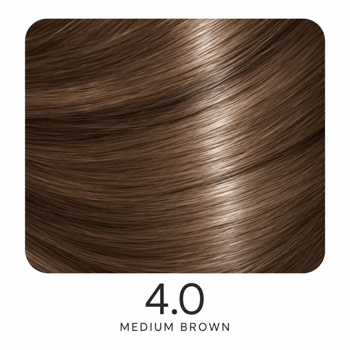 ASP Regular Shades Series
