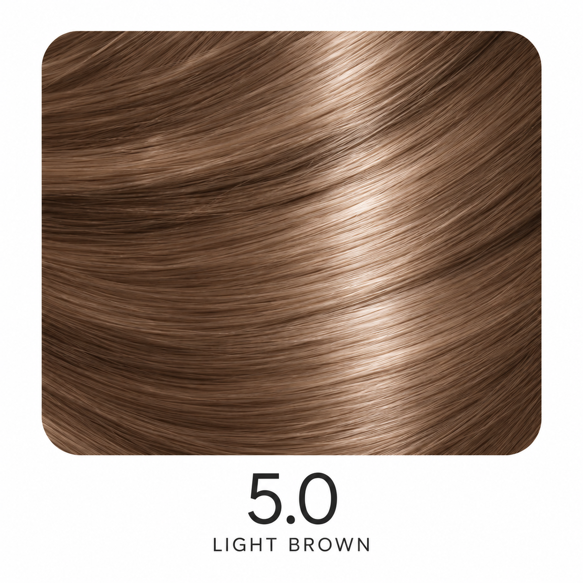 ASP Regular Shades Series