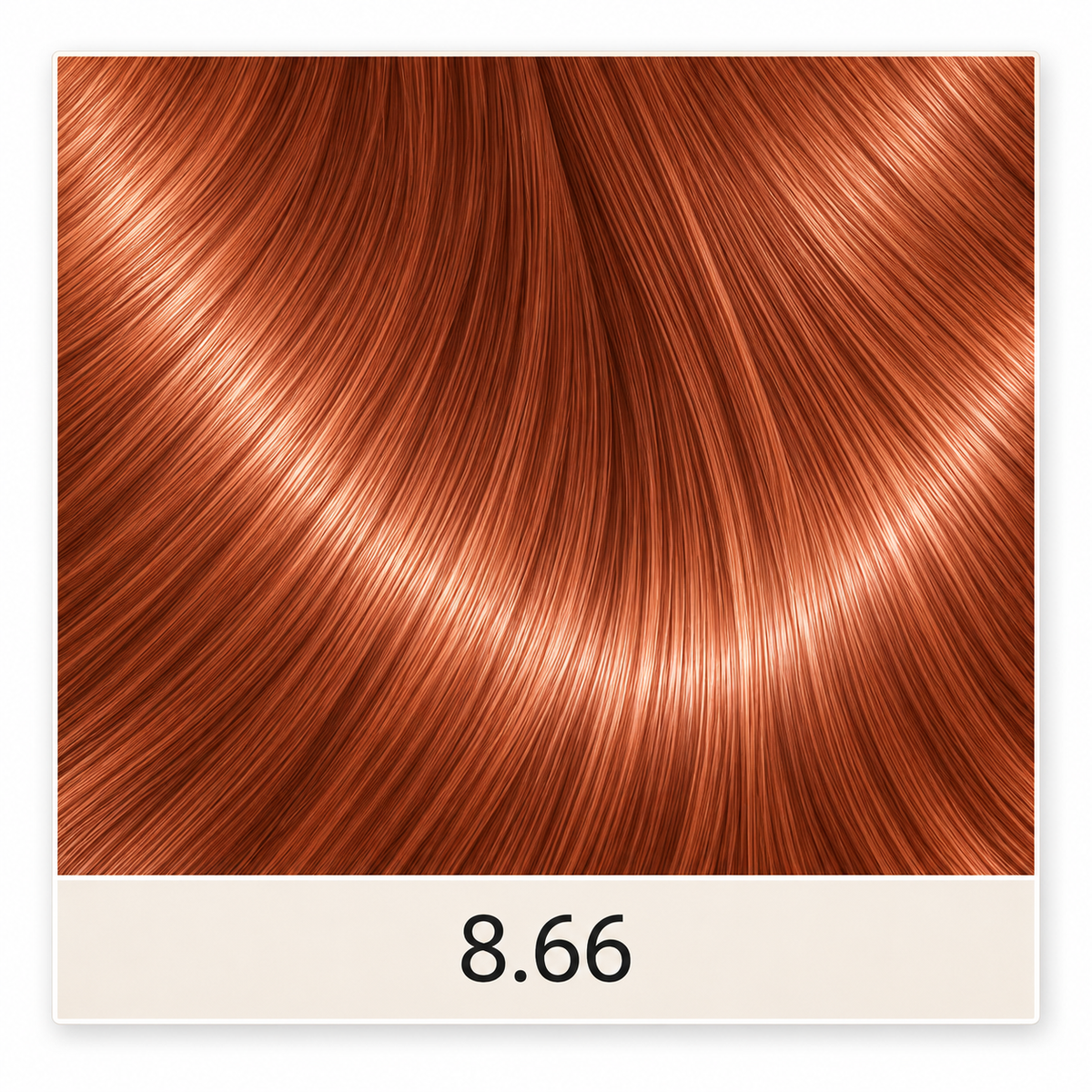 Coverline Auburn & Rojos Series