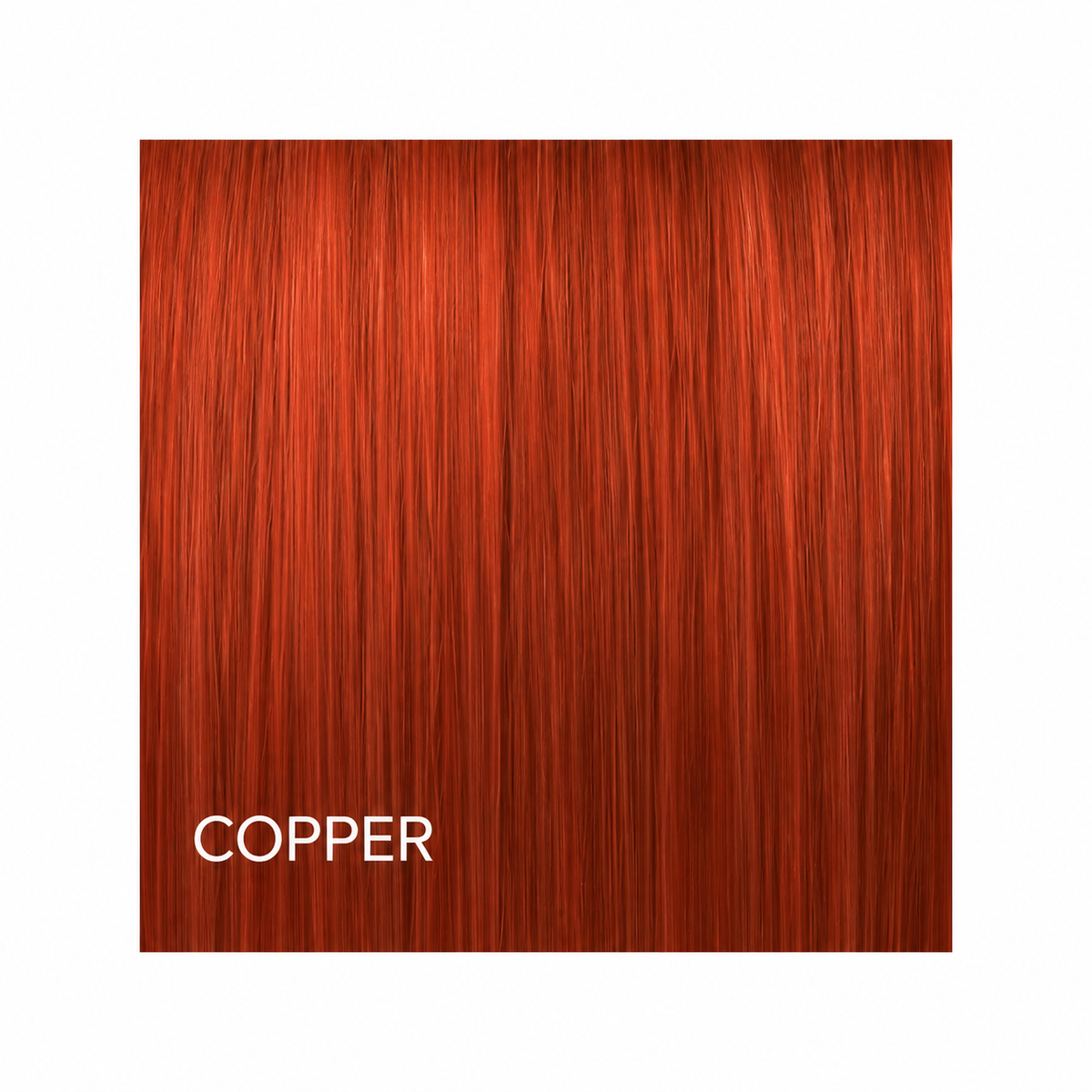 ASP Red Refreshers