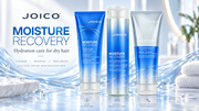 Joico Moisture Recovery