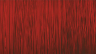 ASP 7.646 - Rebel Rockstar Red