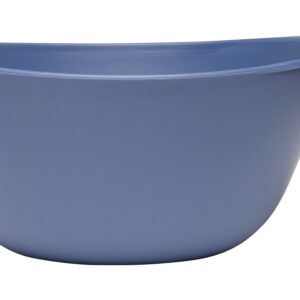 Fromm Color Bowl 16oz - Salon Store